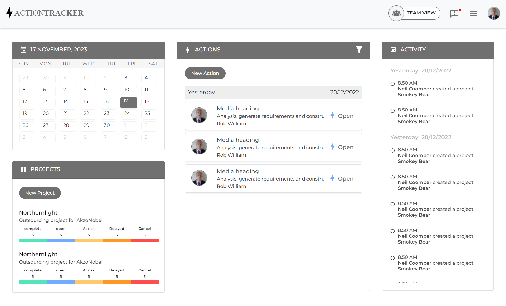 Team Task Management