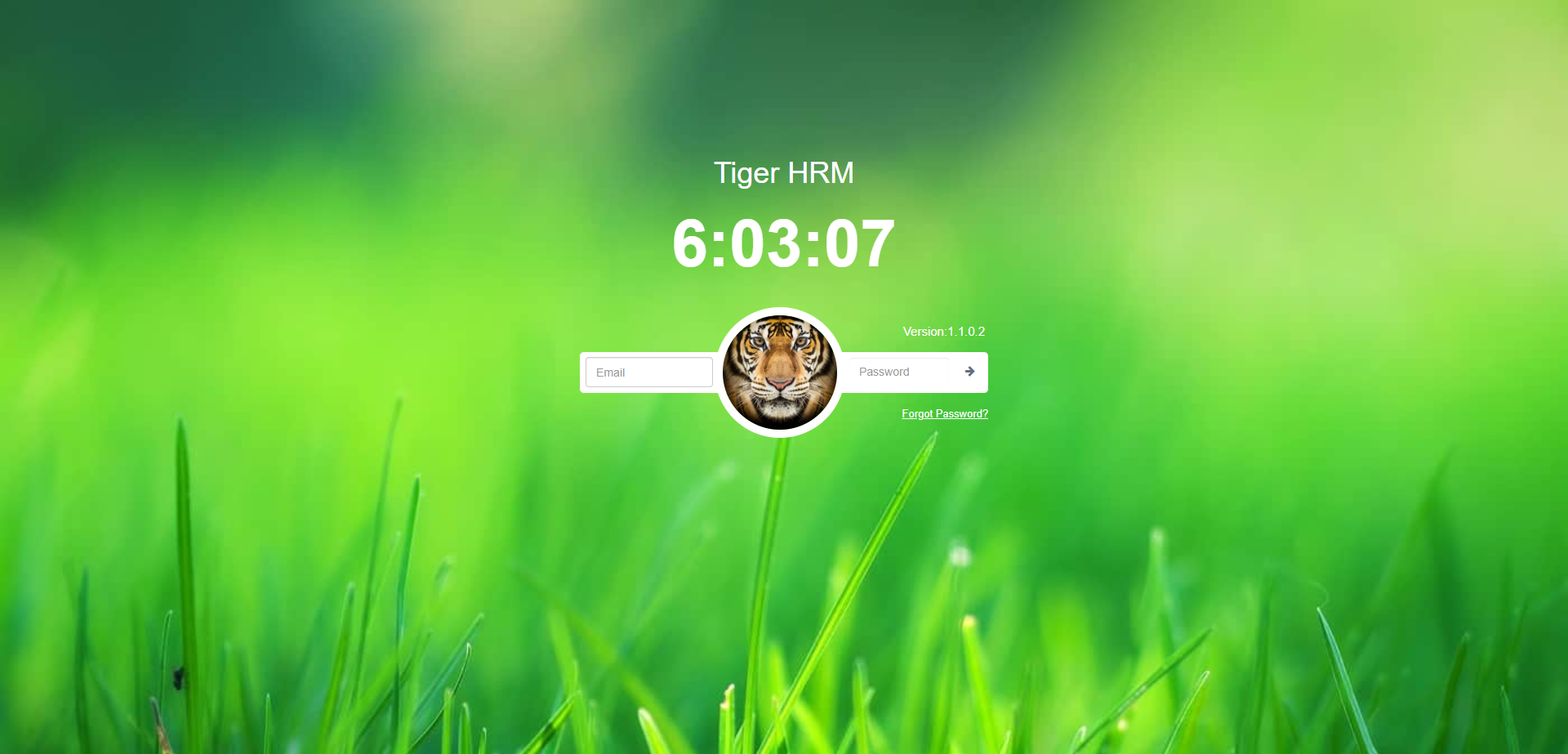HRM